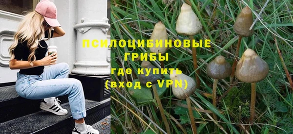 МДПВ Белокуриха
