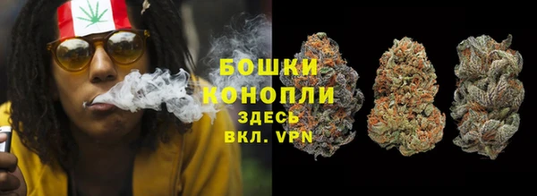 сатива Белоозёрский