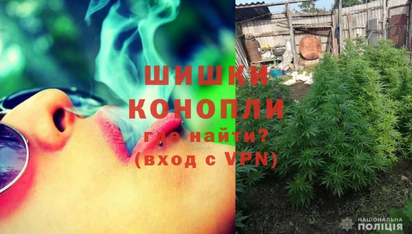 сатива Белоозёрский