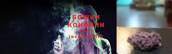 mdpv Вяземский