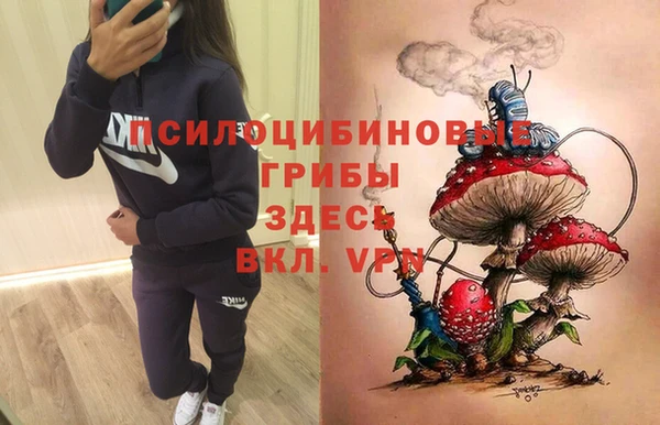 соль курить ск Приозерск