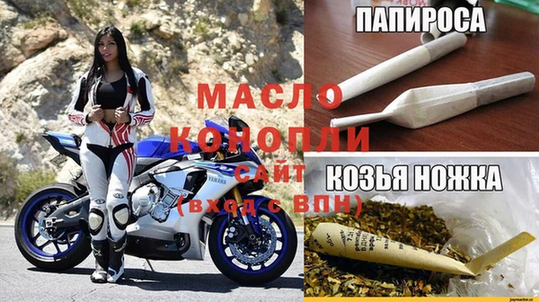 сатива Белоозёрский