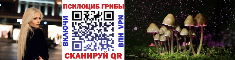 Псилоцибиновые грибы ЛСД  Боровск 